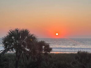 A sunset over the ocean with palm trees in the foreground. - Sunrise Beachside Oasis & Pool (Jacksonville Beach)