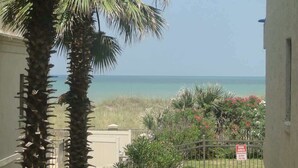 A view of a beach with a clear sky, palm trees, and a 'DOG AREA' sign.