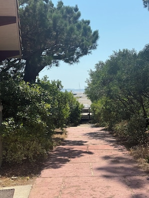 Ein Weg, der zu einem Strand mit Booten führt, umgeben von üppiger Vegetation und einem großen Baum.