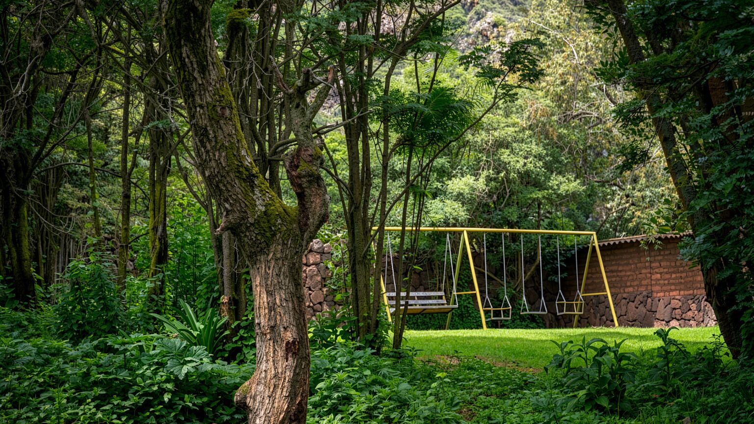 Children's area