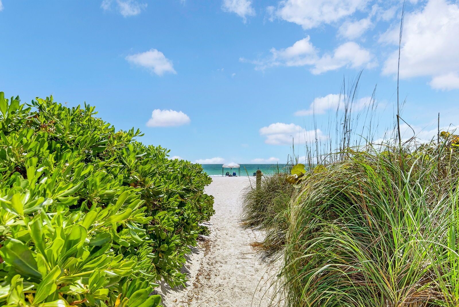 Plage à proximité