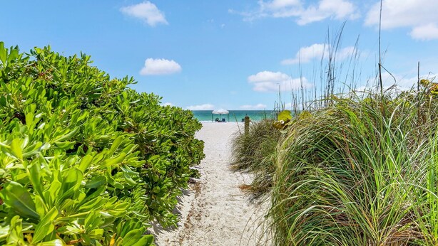 Un sentier bordé de chaque côté d’une végétation luxuriante, qui mène à une plage de sable fin sous un ciel dégagé.