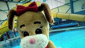 A mascot in a yellow dress with red stars, holding a colorful ball, standing by a pool. - Golden Palm The Retreat 38, Sleeps 6 Pet Friendly (Skegness)