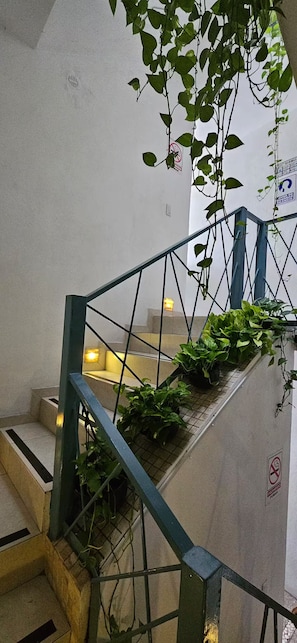 Eine Treppe mit Metallgeländern, einer Handstange und Grünpflanzen, die die Stufen säumen.