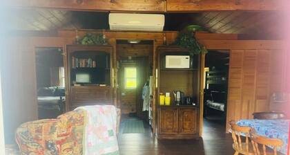 Cozy 2-bedroom cabin in Grayling with Ausable Holy Waters at the road end.
