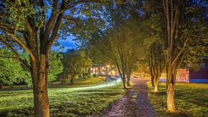 Un sendero bordeado de árboles que conduce a un edificio con ventanas iluminadas.