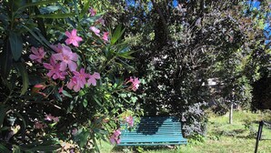 A garden area with a bench, surrounded by greenery and trees. - Large family home in the heart of the village (Sainte-Cécile-les-Vignes)