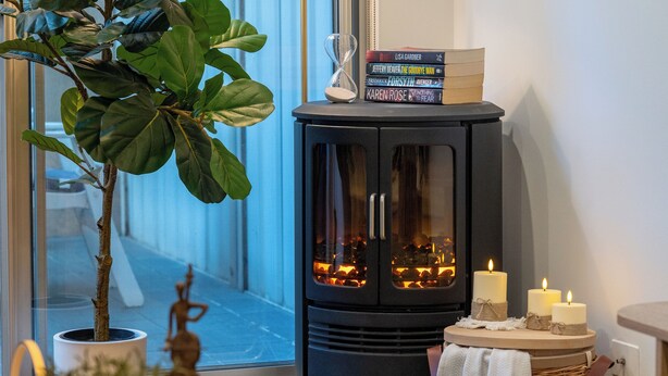 Ein gemütliches Zimmer mit großem Fenster, einer Stehlampe, einem Bücherregal voller Bücher, einem Kamin und einem Blumentopf.