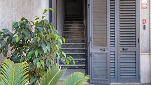 A building entrance with a set of stairs leading inside, a closed door with a handle, and a small sign on the wall.