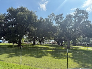 Property grounds - Charming 4-bedroom farmhouse in soothing Schriever with AC and fitness room (Schriever)