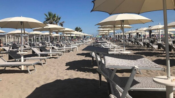 En strand med rader av solstolar och parasoller, en sandstrand och palmer i bakgrunden.