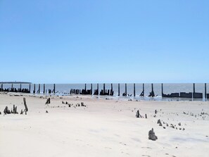 Beach - Beachfront Wellness Suite with Spa-like Amenities on Daufuskie Island (Daufuskie Island)
