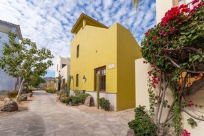 Un edificio amarillo con puerta y ventana, rodeado de plantas y un sendero pavimentado.