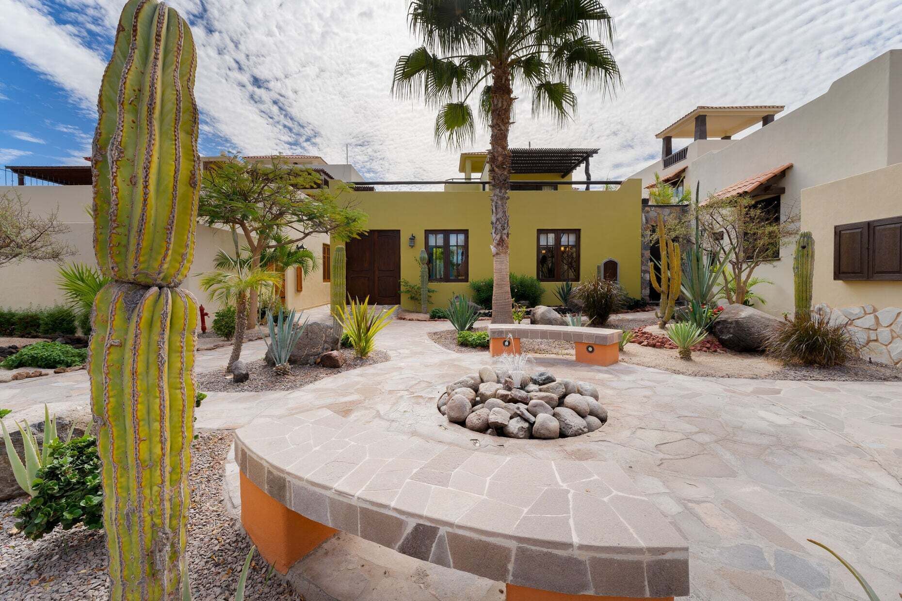 A courtyard with cacti, a palm tree, a stone fire pit, and a building with a yellow facade.