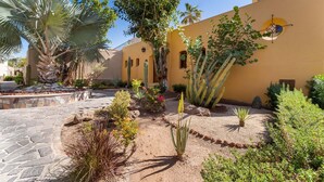 A courtyard with cacti, palm trees, and a yellow building with arched windows. - Beautiful Custom Home. Amazing Ocean View (  Loreto)