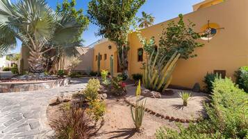 Un patio con cactus, palmeras y un edificio amarillo con ventanas de arco.