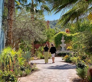 Un sendero en un jardín con una fuente, palmeras y diversas plantas.