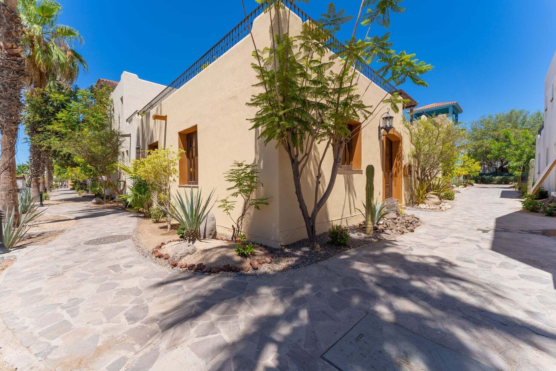 Un edificio con un camino de piedra, un árbol y un cactus.