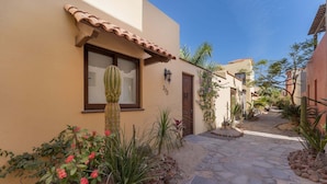 A narrow stone pathway leading to a building with a cacti and flowering plants. - Home With Stunning Ocean View and Breathtaking Sights of the Sierra La Giganta (  Loreto)