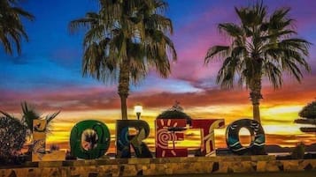 Escena de playa con palmeras y la palabra 'OREGO' escrita en letras grandes.