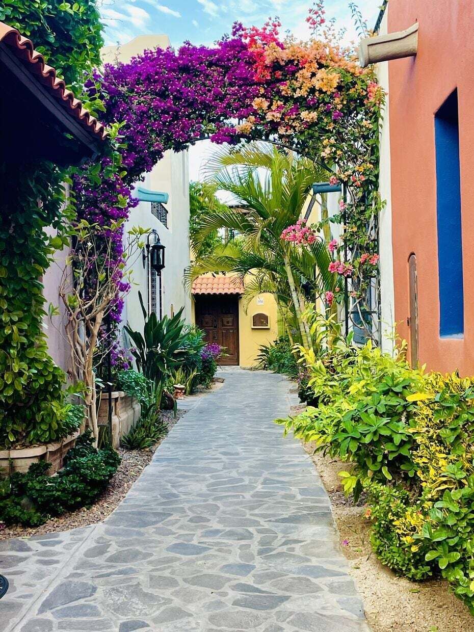 A narrow stone pathway leading to a building with a yellow facade and a blue window.