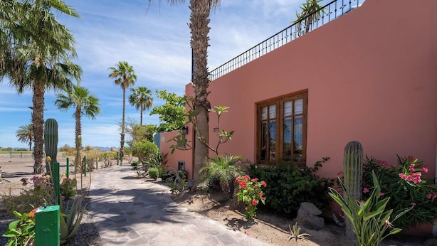 Un camino conduce a un edificio de fachada rosa, rodeado de cactus y plantas del desierto.