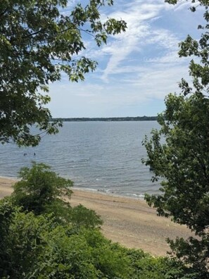 A beach with trees in the foreground and a view of the water.