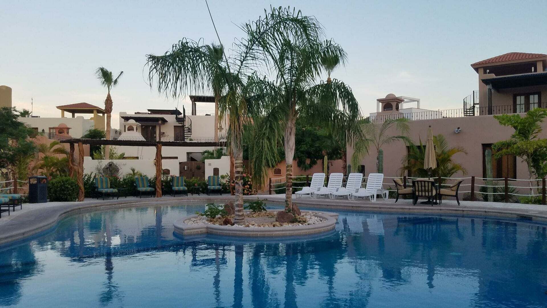 A swimming pool with lounge chairs and palm trees.