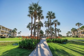 A pathway lined with palm trees and orange flowers, leading to a building with balconies. - Seaside Escape - Private beach and pool! (St. Augustine Beach)