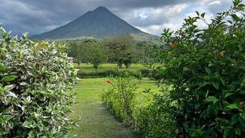 Comfort Apartment, Patio, Garden View | Property grounds