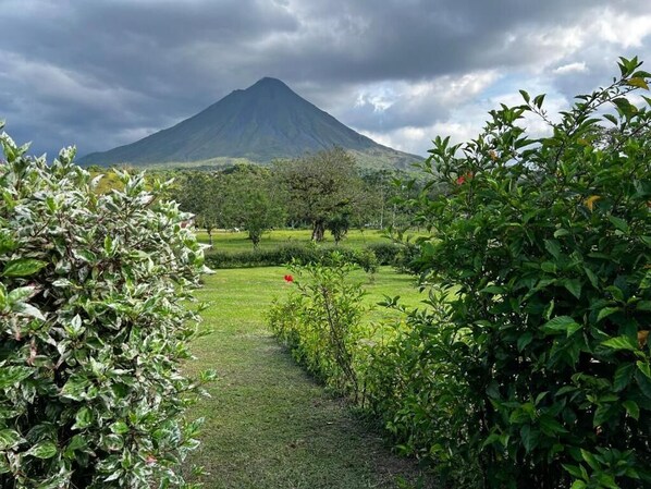 A pathway leading to a mountain view with lush greenery and a clear sky.