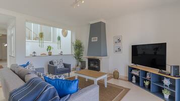 TV, fireplace