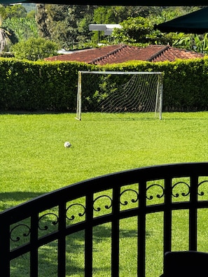 Ein gepflegter Rasenplatz mit Fußballtor, umgeben von einer Hecke, mit einem Ziegeldach-Gebäude im Hintergrund.