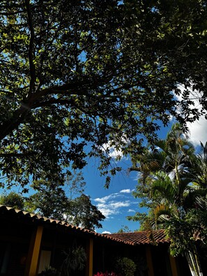Área da propriedade