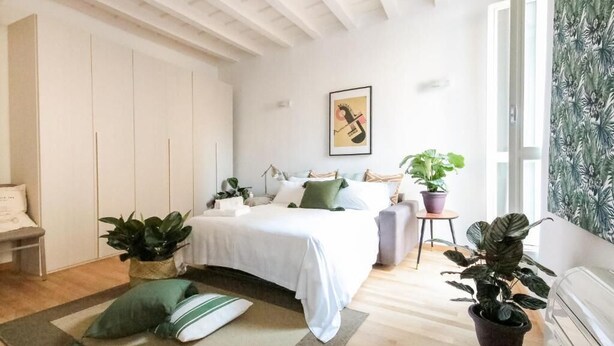 Une chambre à coucher comprenant un lit, des tables de chevet, un bureau, une chaise et des plantes en pot.