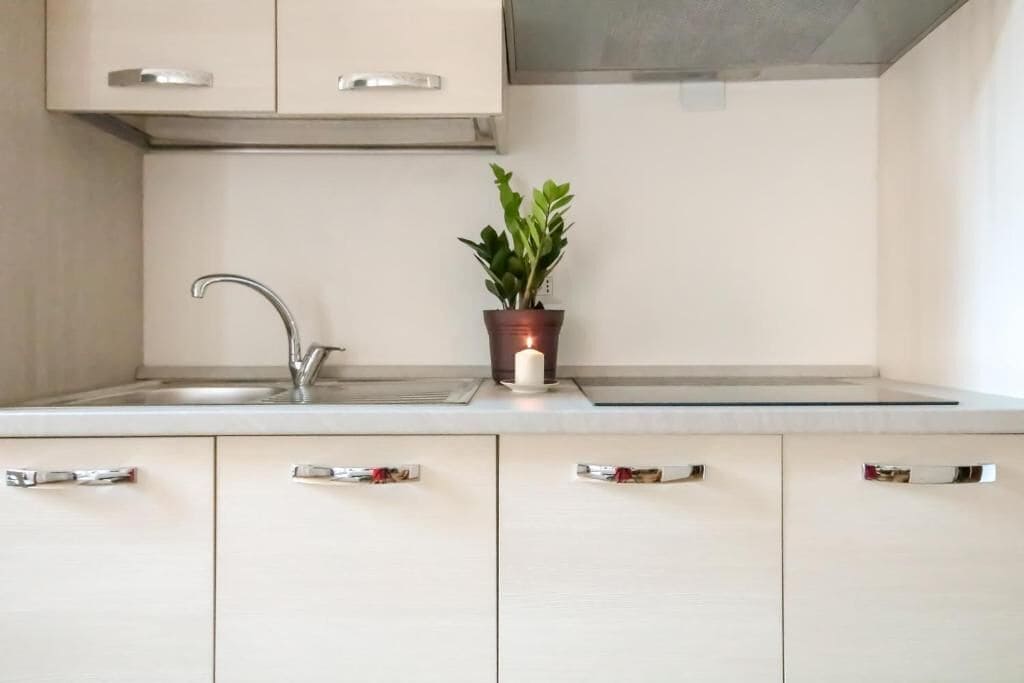 A kitchen with a stainless steel sink, a potted plant, and light-colored cabinets.