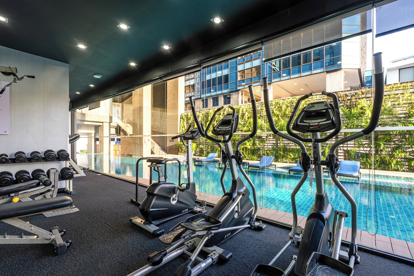 An indoor gym with exercise equipment, a swimming pool, and a view of a building with large windows.