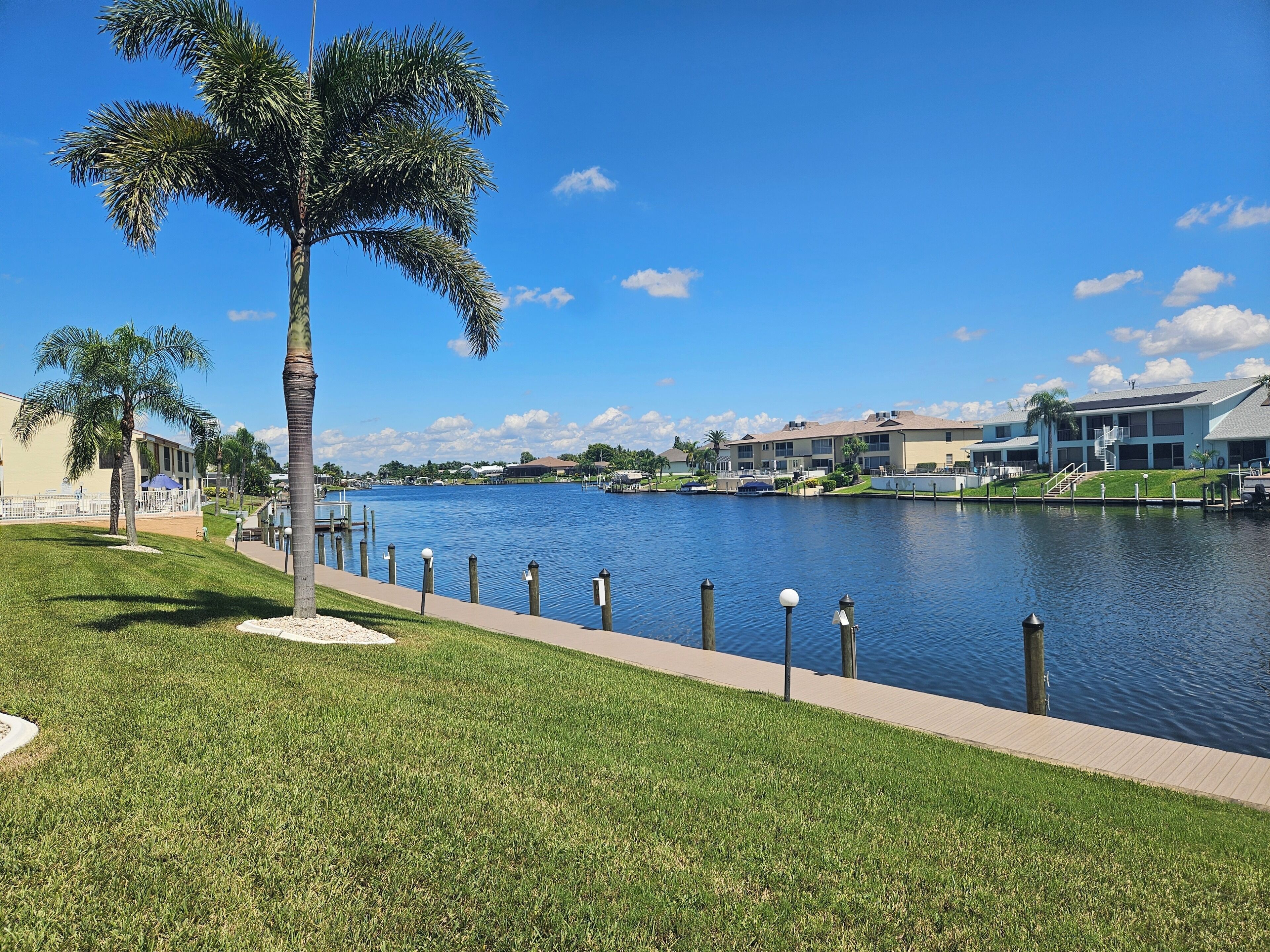 A waterfront view with a grassy area, palm trees, and a row of buildings along the water.