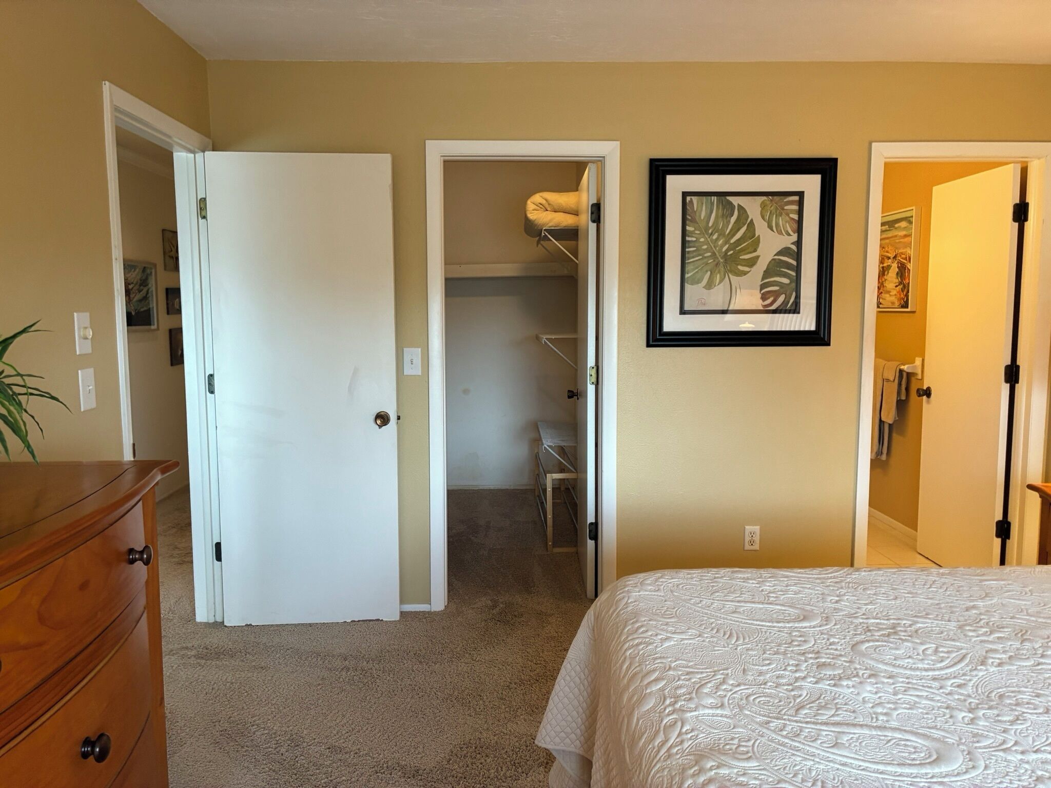 Une chambre à coucher avec un lit, une commode, un placard et une plante décorative dans un cadre.