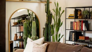 Un salón con un sofá marrón, una estantería y varios cactus.
