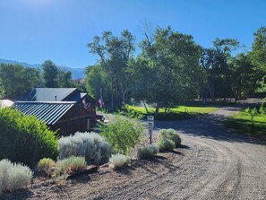 Property grounds - Cozy Creekside Cabin with King bed, Loft & Direct ATV Trail Access (Marysvale)