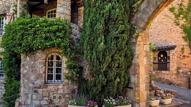 Un edificio in pietra con finestre ad arco, un grande abete sempreverde e fioriere.
