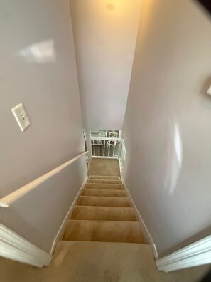 Eine Teppich-verlegte Treppe mit weißen Wänden und einem weißen Geländer.