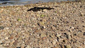 A rocky beach with clear water and distant rocky formations.