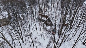 Un paysage enneigé, avec des arbres sans feuilles et une maison en arrière-plan.