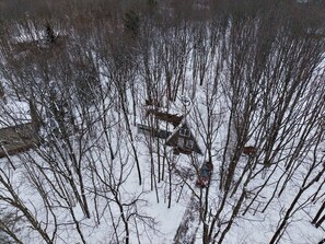A snow-covered landscape with bare trees and a house in the background. - Romantic A-Frame - Hot Tub - Pets Welcome (Blakeslee)
