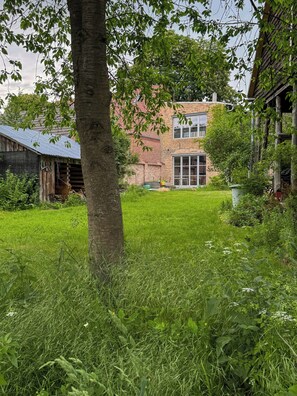 Ein Rasen mit einem Baum, ein Backsteinhaus mit einem Fenster und eine Metallhütte.