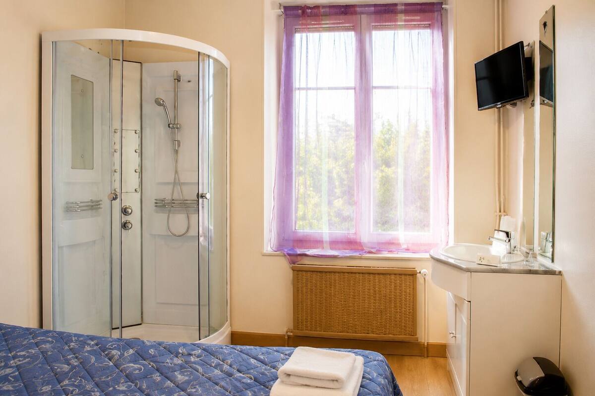 A bedroom with a bed, a shower, a window with curtains, a TV, and a small bathroom.