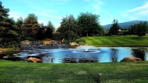 Un étang paisible avec une fontaine, entouré d’une végétation luxuriante et d’arbres.