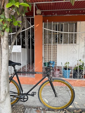 A bicycle parked in front of a building with a metal gate, potted plants, and a window with decorative patterns.